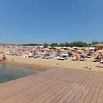 Aytas Ayvalı